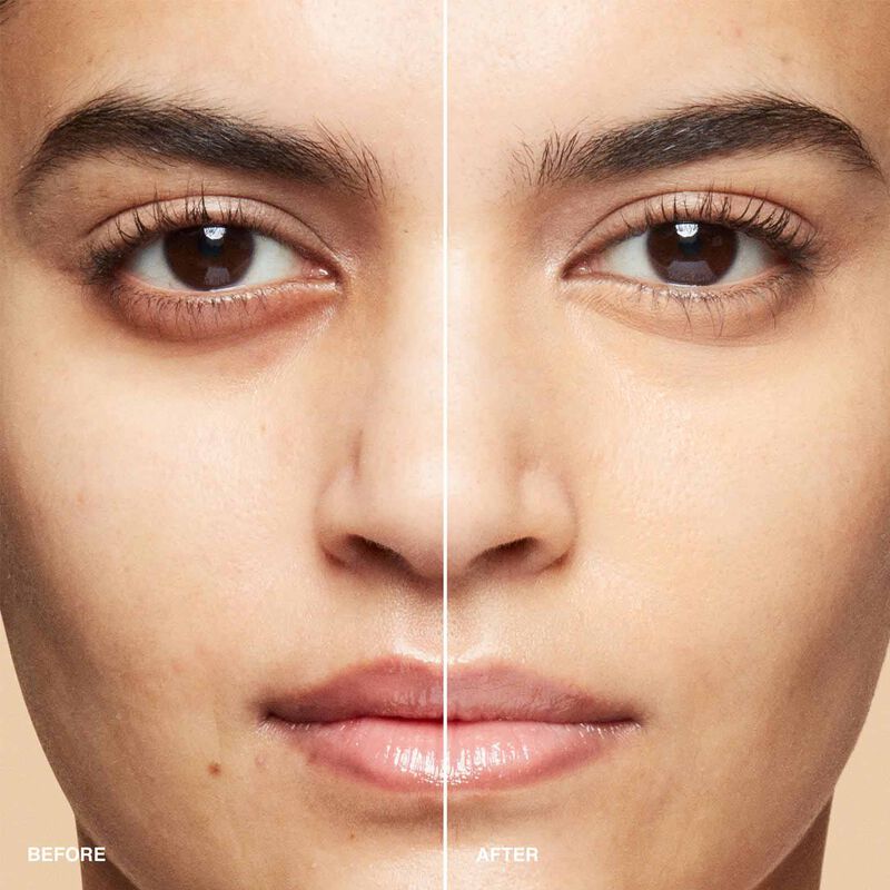 Bobbi Brown  Skin Full Cover Concealer image number 69